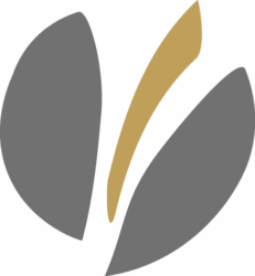 Icon grau beige PNG 600